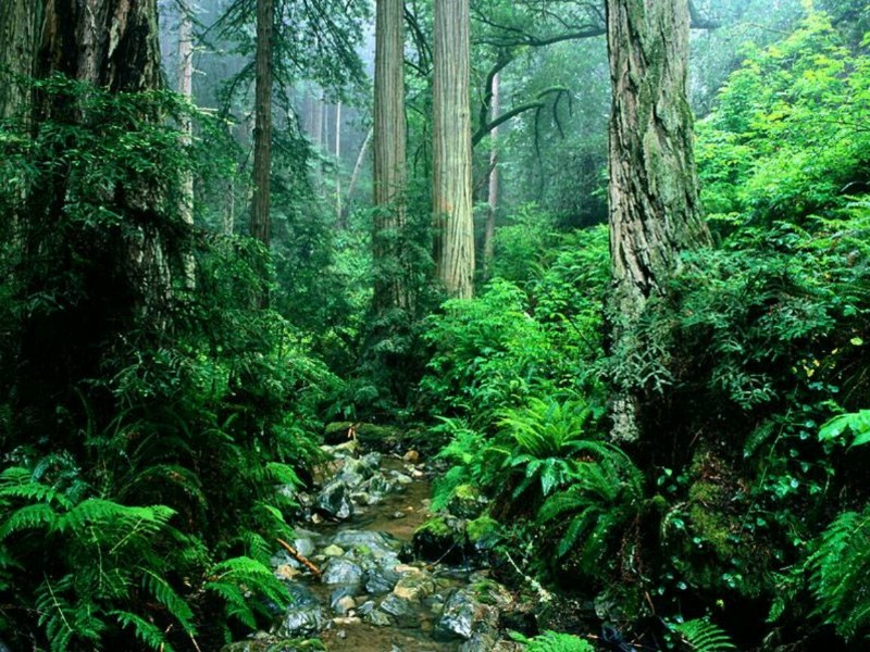 1595645974228454.jpg t01b3fed1a0693daec4.jpg