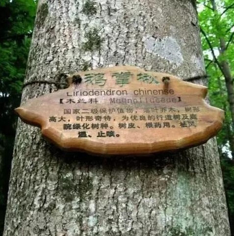 1595656935565908.jpg 4335ccd6c018477ba2f4350b41bf589e.jpg