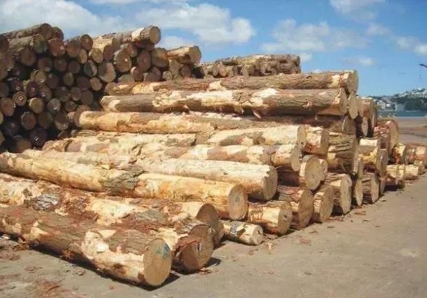 1595656963839829.jpg b42d87bdb22d41ff826506bf9696b6f0.jpg