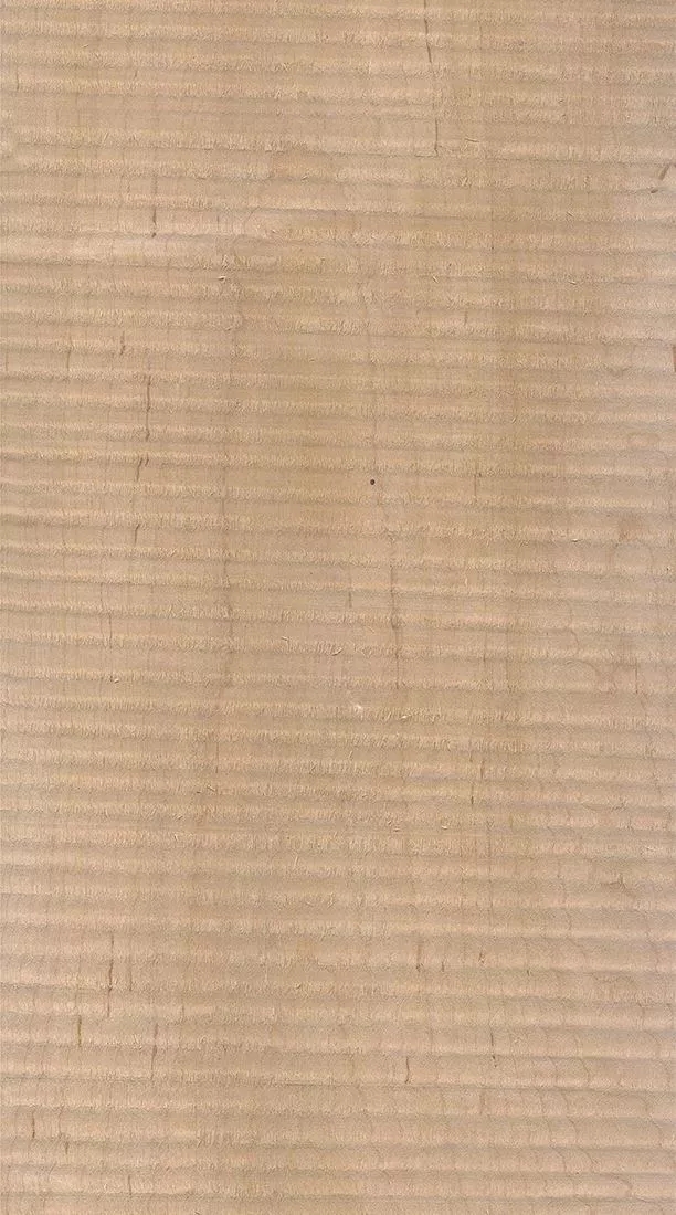 樺木的芯材顏色是淡紅棕色，邊材顏色近白色，板面寬且?guī)в暗哪酒な袌鰞r(jià)格良好，紋理通常是直紋和波浪紋，質(zhì)地均勻，板面有很好的自然光澤度。.webp.jpg
